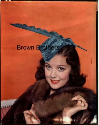 1937 Hollywood Young Actress Ann Rutherford Feather Cap 8x10 Photo Transparency 2