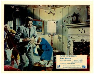 The Birds Lobby Card Rod Taylor Tippi Hedron Alfred Hitchcock 1963