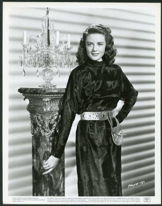 Dorothy Malone In Stylish Gown Vintage 1940s Portrait Photo