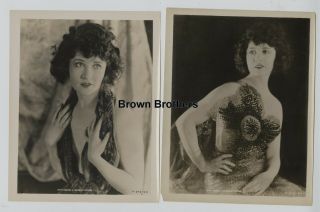 Vintage 1920s Hollywood Betty Compson Elegant Paramount Publicity Photos (2) Bb