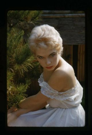 Stella Stevens Breathtaking Sultry Glamour Pin Up 35mm Transparency