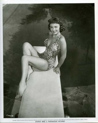 Donna Reed Sexy Barefoot Leggy Glamour Pin Up Swimsuit 1955 Photograph