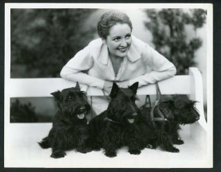 Billie Dove W Scottish Terrier Dogs Vintage 1931 Portrait Photo