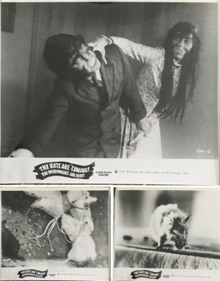 Vintage 1972 The Rats Are Coming The Werewolves Are Here Movie Promo Photos