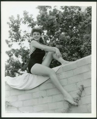 Marguerite Chapman In Stunning Leggy Cheesecake Pin - Up Vtg 1940s Photo