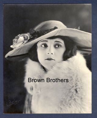1920s Hollywood Actress Claire Adams Portrait Dbw Photo Blind Stamp Woodbury Bb