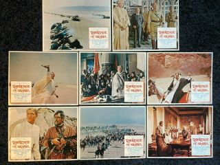 Lawrence Of Arabia - 8 Lobby Cards - Peter O 