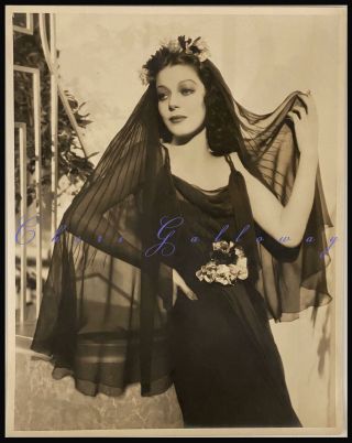 Vintage 1930 Loretta Young Exquisite Fashion Hollywood Photo 11 X 14