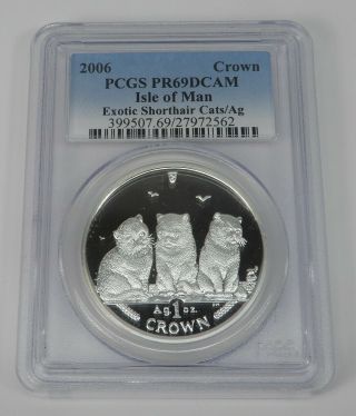 2006 Isle Of Man Proof Silver Exotic Shorthair Cats / Ag Pcgs Pr69 Dcam Km 12