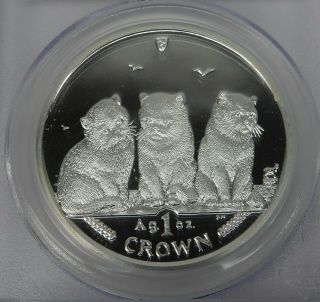 2006 Isle of Man Proof Silver EXOTIC SHORTHAIR CATS / AG PCGS PR69 DCAM KM 12 2