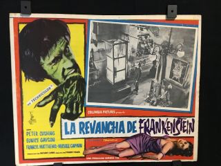 1958 The Revenge Of Frankenstein Authentic Mexican Lobby Card Art 16 " X12