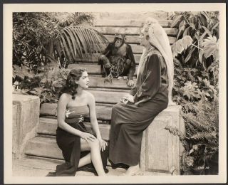 Maria Montez & Mary Nash Cobra Woman 1943 Vintage Orig Photo Busty Leggy Actress