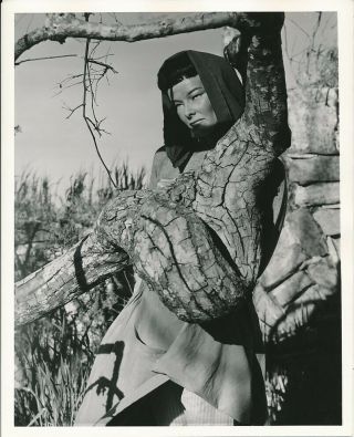 Katharine Hepburn Chinese Costume 1944 Dragon Seed Manatt Mgm Dbw Portrait Photo