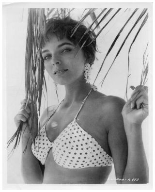 Joan Collins Striking Glamour Pin Up Bikini Sea Wife 8x10 Photo