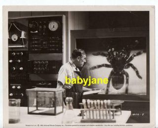 Leo G.  Carroll 8x10 Photo Sci Fi Classic 1955 Tarantula