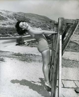 Anne Bancroft Sexy Barefoot Leggy Pin Up Swimsuit 1952 Stamped Photo