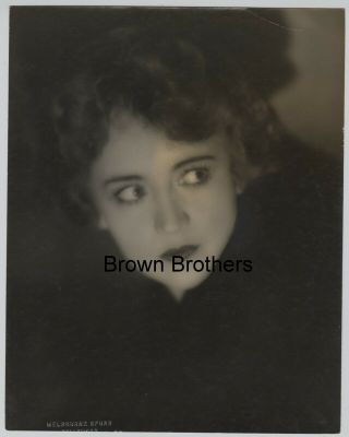 1920s Actress Betty Compson Oversized Dbw Photo Blind Stamp Melbourne Spurr Bb