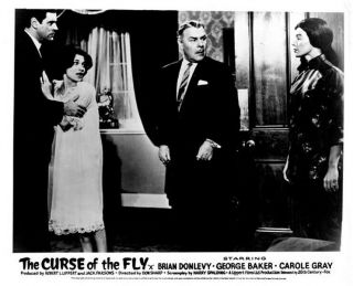 Curse Of The Fly Lobby Card Brian Donlevy Carole Gray George Baker 1965