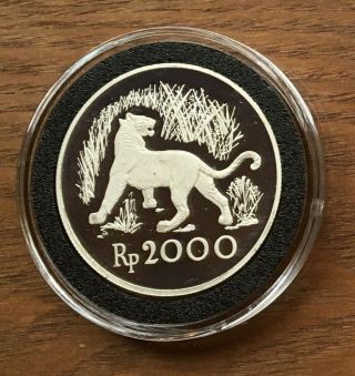 G344 Indonesia 1974 2000 Rupiah 0.  84oz Silver Proof Conservation Coin - Tiger