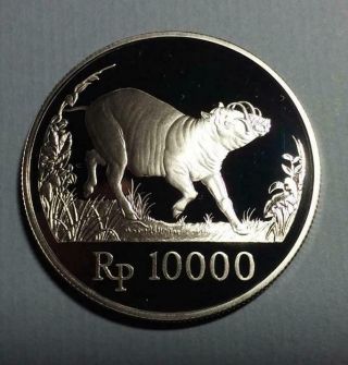 Indonesia - 1987 Silver 10000 Rupiah - Babi Rusa - Lightly Toned Proof