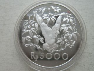 Indonesia,  5000 Rupiah,  1974,  Orangutan,  Silver Coin Proof