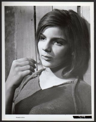 Patricia Gozzi French Actress 1965 Vint Orig Photo Rapture La Fleur De L 