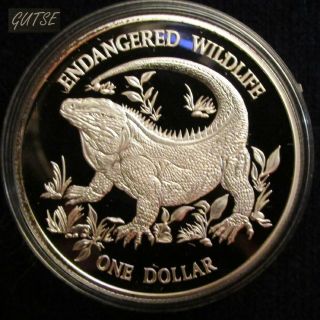 Cayman Islands,  1 Dollar 1995,  Blue Rock Iguana,  Silver,  Proof.
