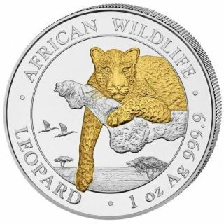 Leopard - African Wildlife 1 Oz Silver Gold Gilded Coin Somalia 2020