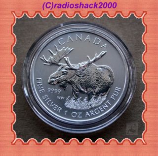 2012 Canadian Canada $5 Dollars 1 Ounce Silver Wildlife Series (moose)