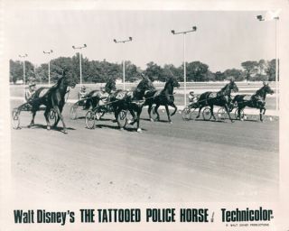 Walt Disneys Tattooed Police Horse Jockeys On Race Track