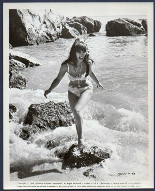 Unidentified Actress Busty Leggy Bikini Hammerhead Vintage Orig Photo