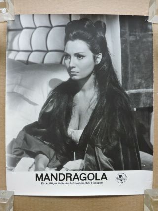 Rosanna Schiaffino Orig Busty East German Portrait Lobby Card 1967 Mandragola