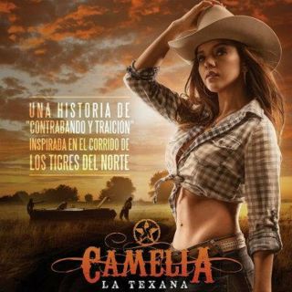 Camelia La Texana - Serie Mexico,  10 Dvd,  60 Capitulos.  2014 - Excelente
