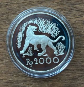G609 Indonesia 1974 2000 Rupiah Silver Proof Coin - Tiger Conservation Coin