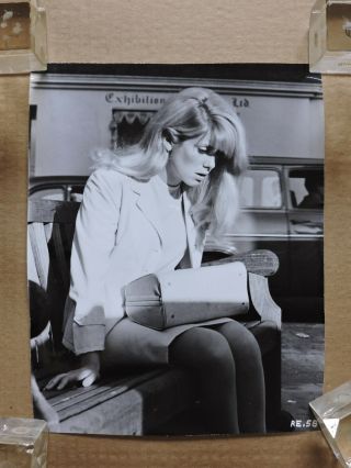 Catherine Deneuve Candid Portrait Photo 1965 Repulsion - Polanski 4