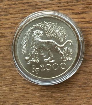 G676 Indonesia 1974 5000 Rupiah Silver Bu Unc Coin - Tiger Conservation Coin
