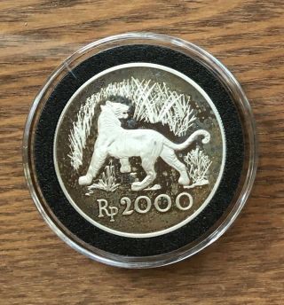 G675 Indonesia 1974 5000 Rupiah Silver Proof Coin - Tiger Conservation Coin