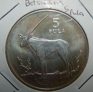 Botswana 1978 5 Pula Silver Proof Km 11a