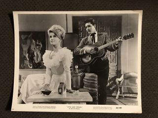 Viva Las Vegas - Presley Movie Photo - Elvis - 1964 - Ann - Margret