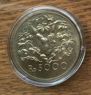 G673 Indonesia 1974 5000 Rupiah Silver Bu Unc Coin - Orangutan Conservation Coin