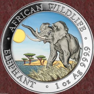 2016 Somalian Elephant " Day " Colorized African Wildlife 1oz Silver Coin Mtg=5000