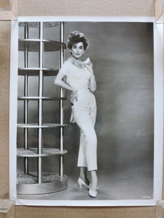 Kay Kendall Busty Glamour Fashion Studio Portrait Photo 1957 Les Girls