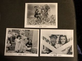 Judy Garland - Movie Photos - Wizard Of Oz