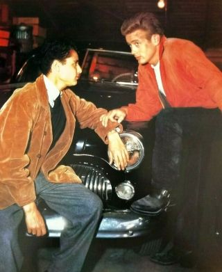 James Dean Rebel Without Cause Book Plate Sal Mineo Plato & Jim Stark Vintage