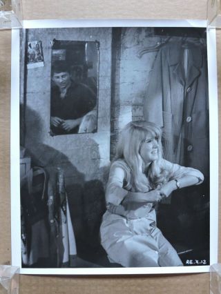 Catherine Deneuve With Roman Polanski Candid Photo 1965 Repulsion