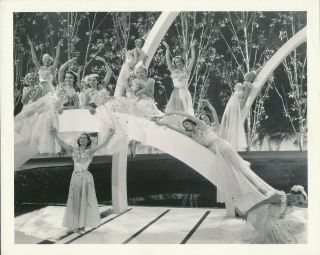 Dancing Girls Production Number Vintage A Day At The Races Mgm Photo