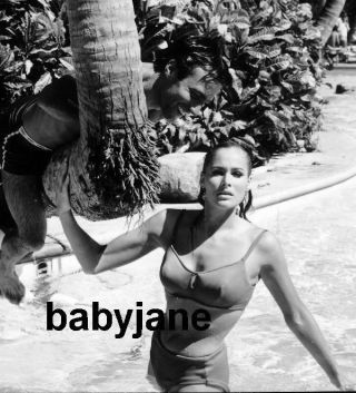 031 Ursula Andress Fun In Acapulco Sexy Wet In Swimming Pool Photo