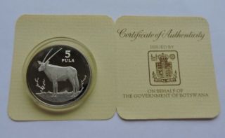 1978 Botswana 5 Pula Silver Proof Gemsbok Wwf Conservation Coin With