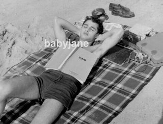 054 Sal Mineo Barechested In Shorts Suntanning W/ Dino Script At The Beach Photo
