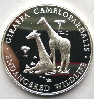 Zambia 2000 Giraffa 1000 Kwacha Silver Coin,  Proof